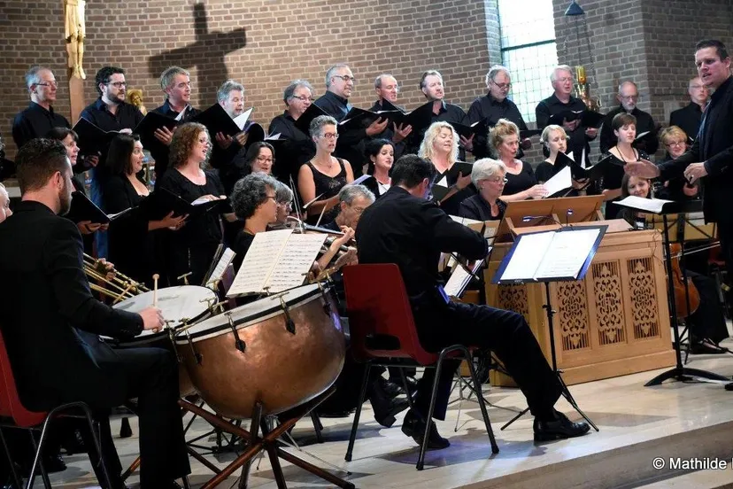 lop3s0aazhr4b41m4whgt584p 2014 07 05 bachconcert 3