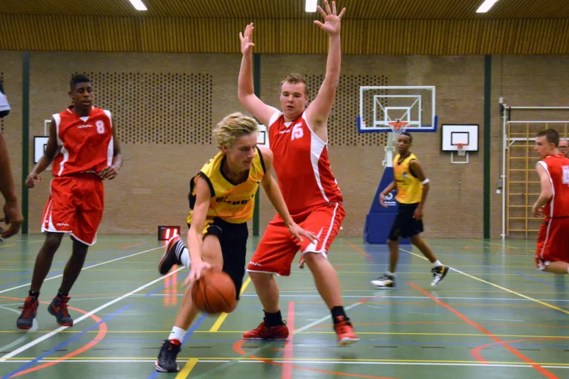 mh1r48yt1c0vw01vlgqa2cxmf basketbal