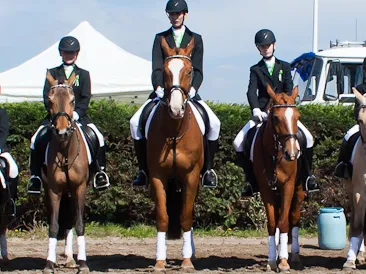 ngf9hdal3pdnu7wkmjxkevzsj 226953