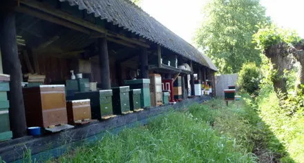 pelddscghtqa2siyrk6mp7jhi 68285