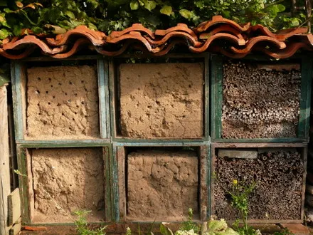 qxucfvl1mp043fe2orei8nmwa 89346