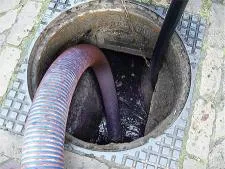 tphbhm0owtbb713hlrhq2nh68 32671