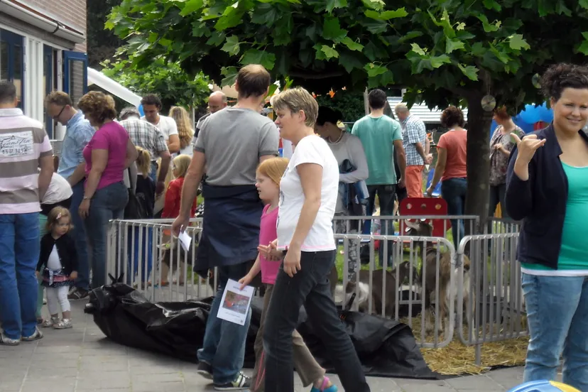 ufbzn59fyd6g6373l8i81fe9d 2014 06 29 villa vrolijk 1