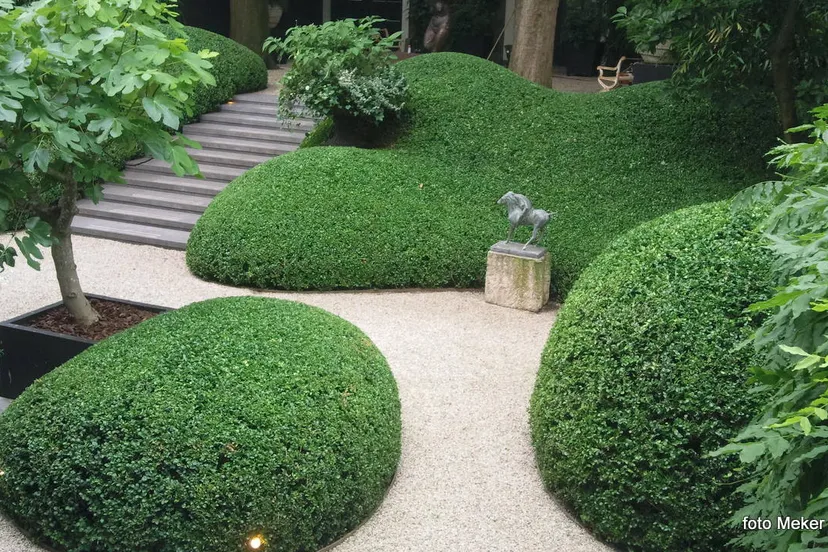 xhhayzq74a5baarvlhiddlo04 2013 09 23 meker tuinen 2