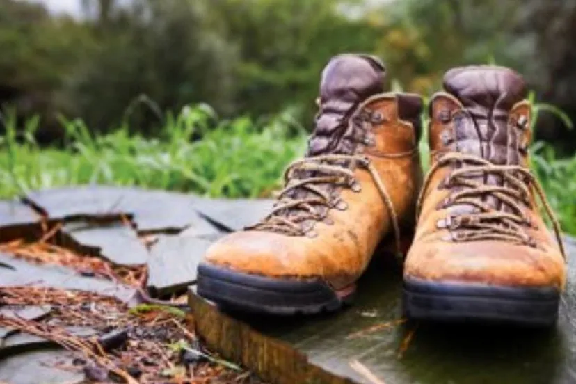 zponb52hvf7ubdbupqn6rf3bx 2013 12 06 diabeteschallenge 1