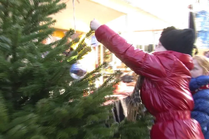 zybi80ntz96pg3wg1vphk87rn kerstwens 2