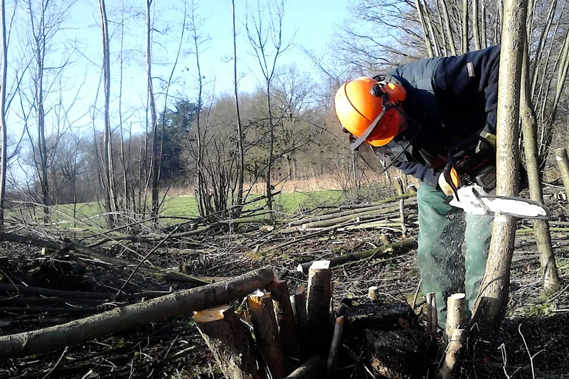 2014 01 27 groenhorst kettingzagen 2