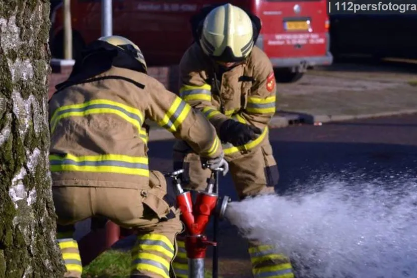 2014 12 31 containerbrand 2