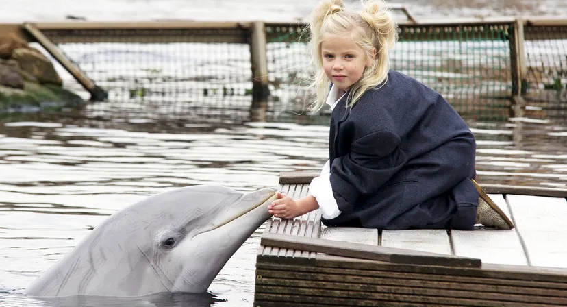 2015 01 16 boni dolfinarium uitgelicht