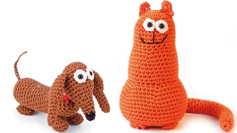 2015 01 16 leprastichting teckel kater 1024x535