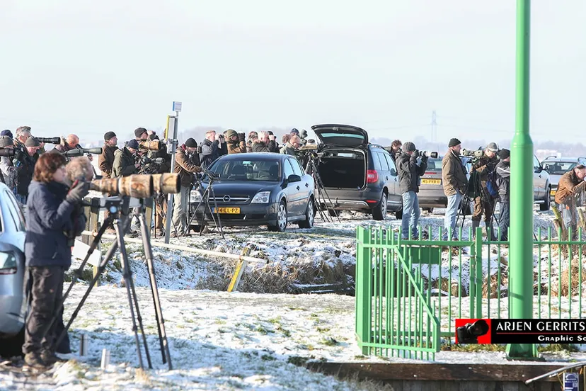 2015 01 24 vogelaars