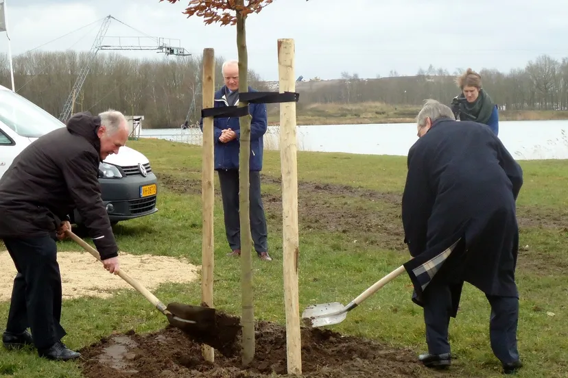 2015 03 13 aanplant rode beuk op zeumeren