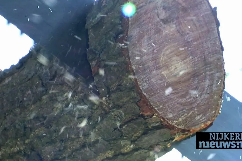 2015 04 04 boomzagen