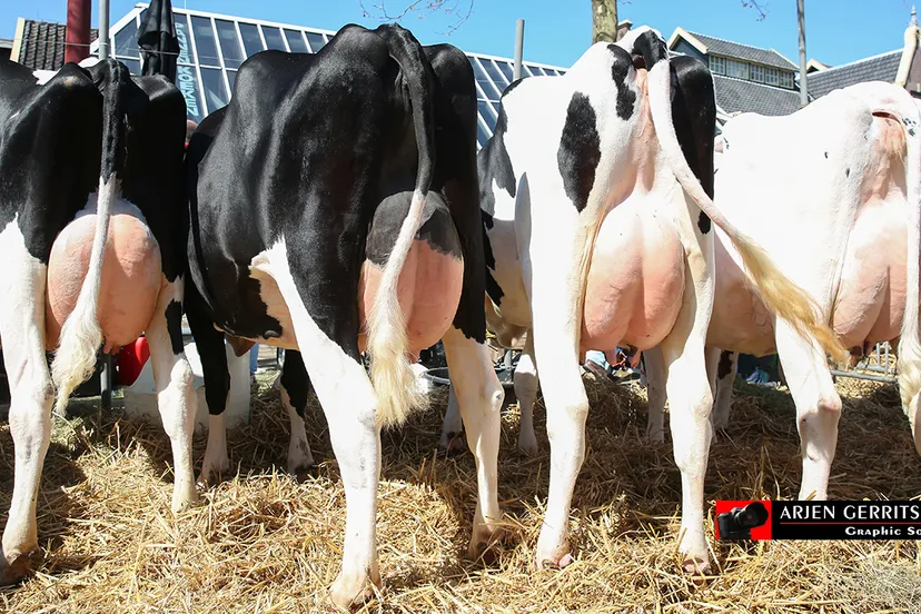 2015 04 20 boerenmaandag 017