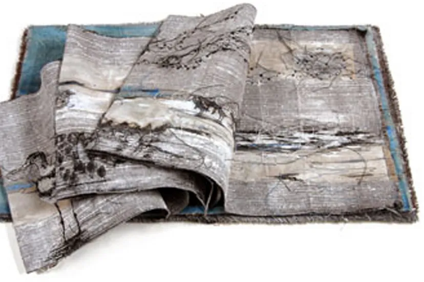 2015 05 19 willy schut boek