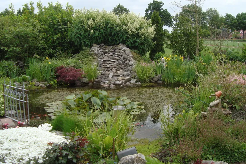 2015 06 11 groei en bloei