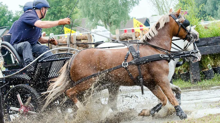 2015 06 27 menwedstrijden 2015 kraaij 14