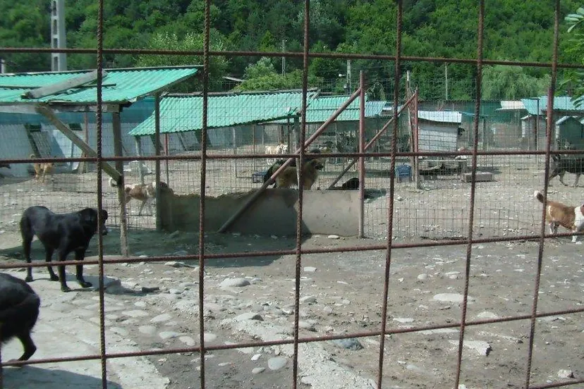 2015 07 13 stichting gotz 005