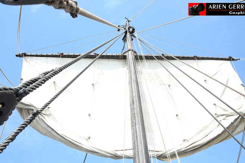 2015 08 29 zuidwal 005