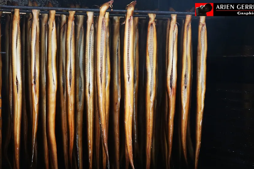 2015 08 29lpalingroken 0031