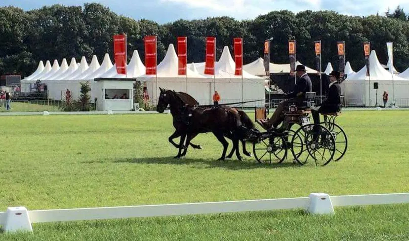 2015 09 04 ewoud boom