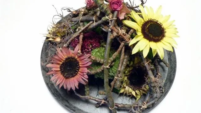 2015 09 21 groei en bloei schaal met takken