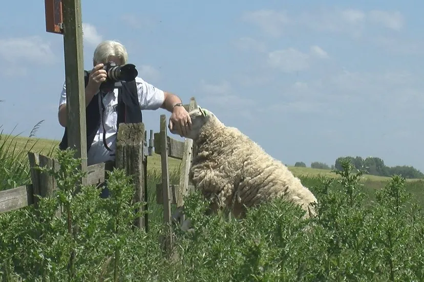 2015 10 03 arjen gerritsma