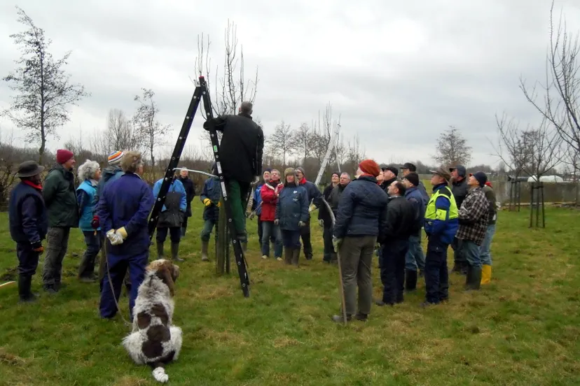 2015 10 29 hoogstamfruit