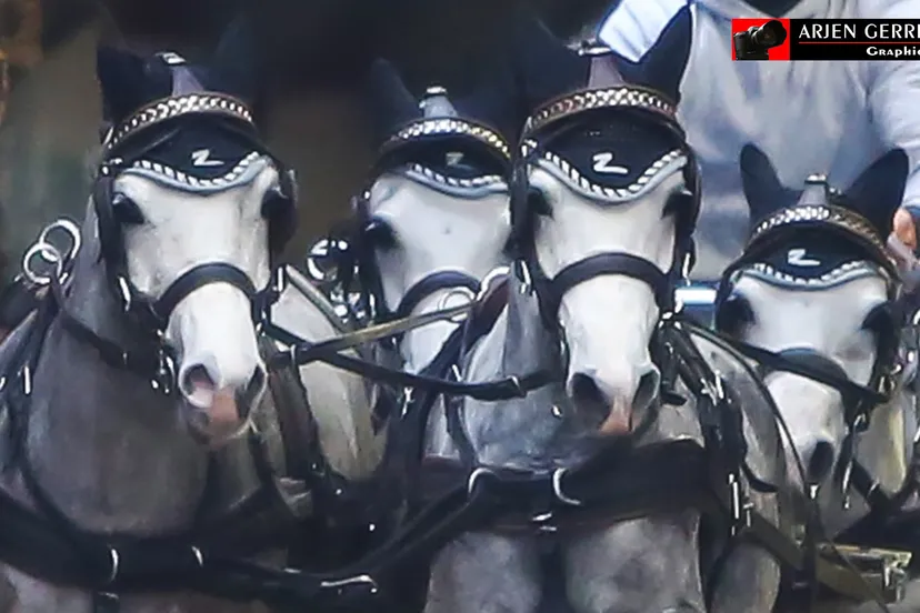 2015 11 07 menindoor 012