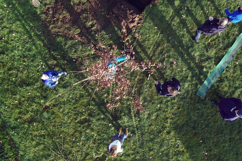 2015 11 28 boomplantdag appel 3