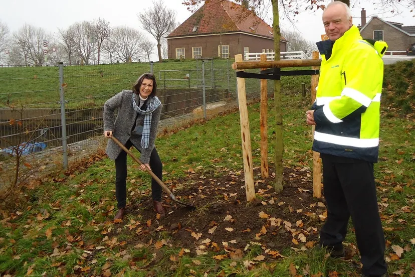 2015 12 18 erik droogh en wethouder marly klein planten rode beuk 2