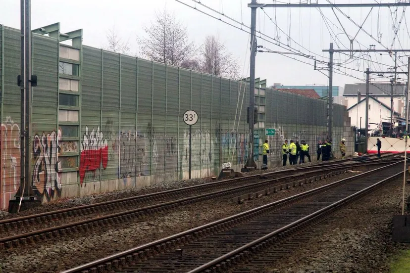 2016 01 29 spoor dode