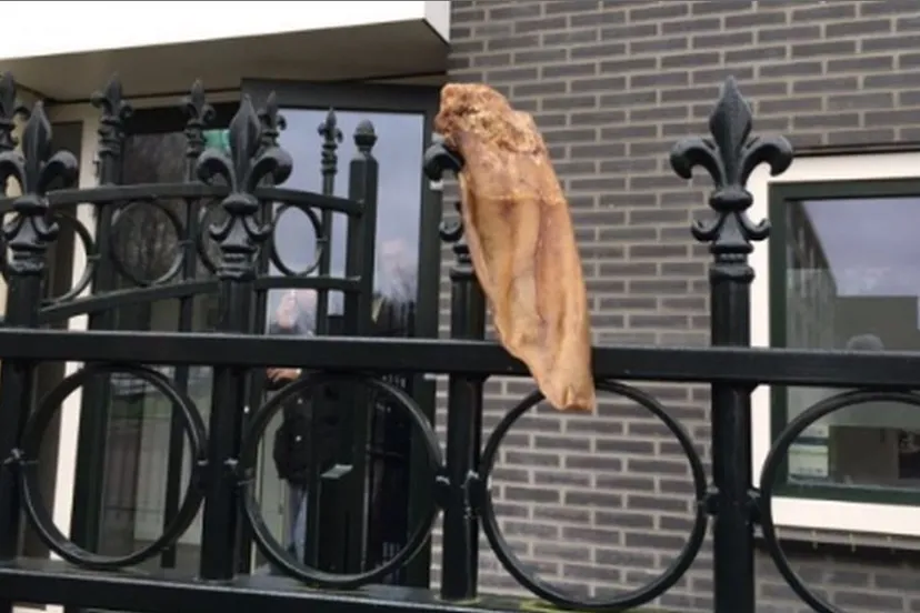 2016 01 29 varkensoor aan mosskee