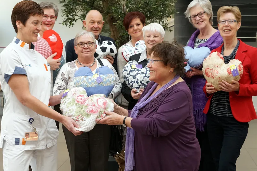 2016 02 25 st jansdal heartpillows