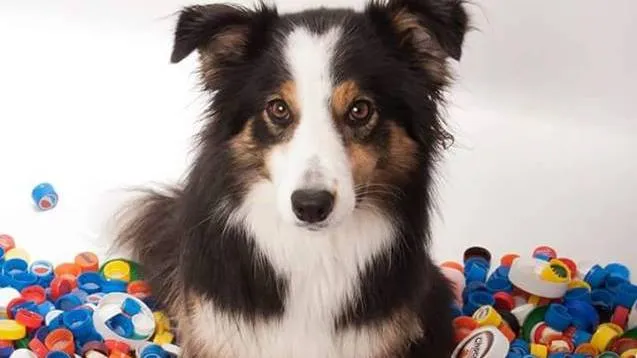 2016 04 30 doppen sparen 3