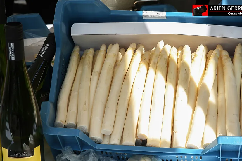 2016 05 14 aspergefestival 02