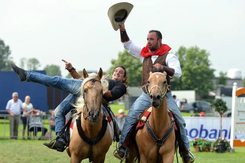 2016 07 28 paardenfokdag 01