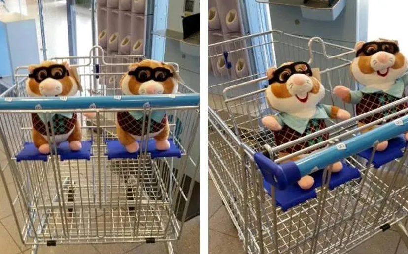 2016 08 29 albert heijn tweeling