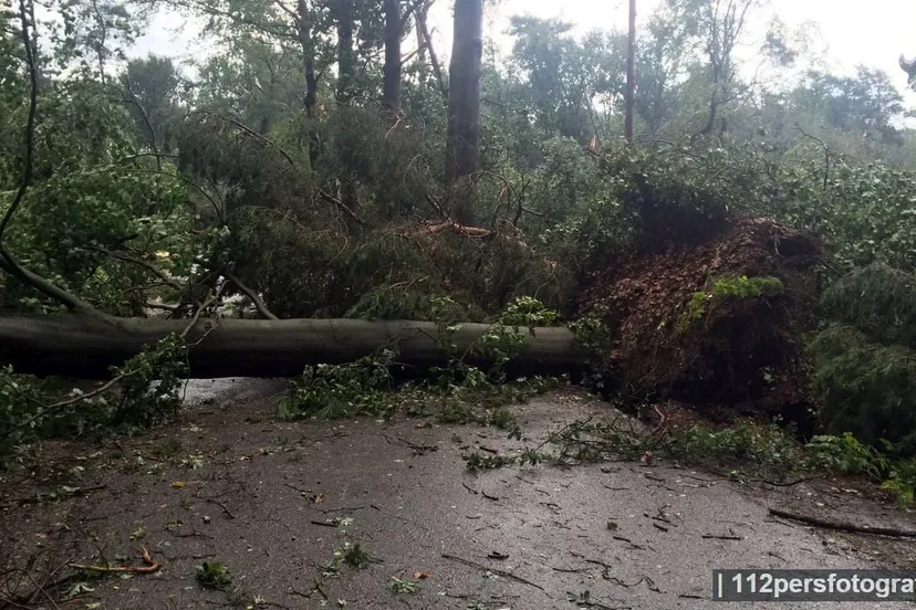 2016 09 04 stormschade appel 02