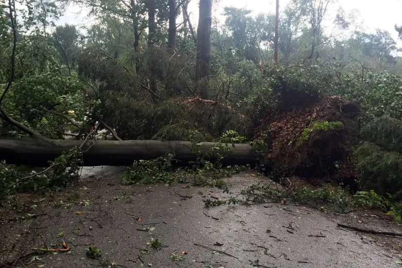 2016 09 04 stormschade in appel 1