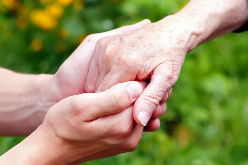 2016 09 16 hovenier helpt 2 10