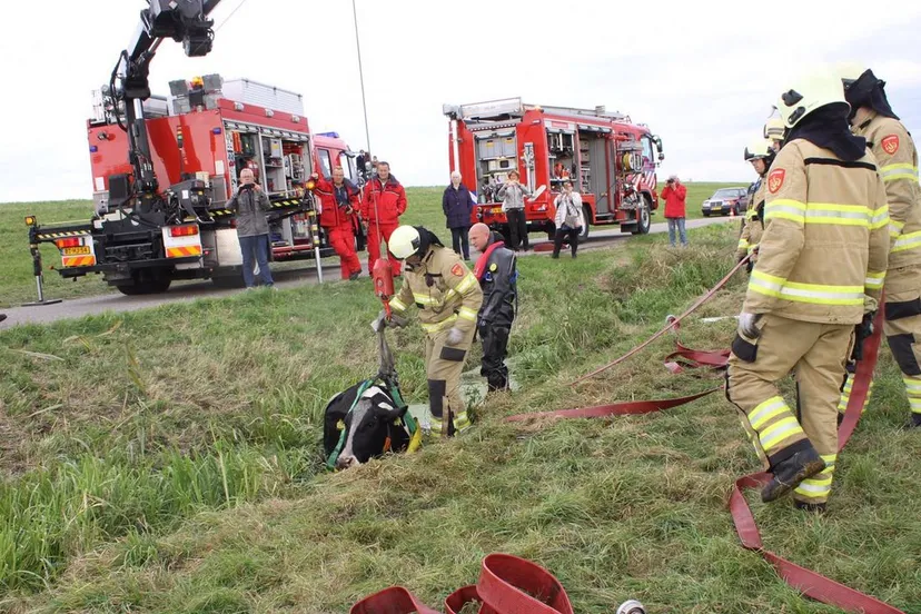 2016 10 08 ongeal zeedijk oe uit sloot 1