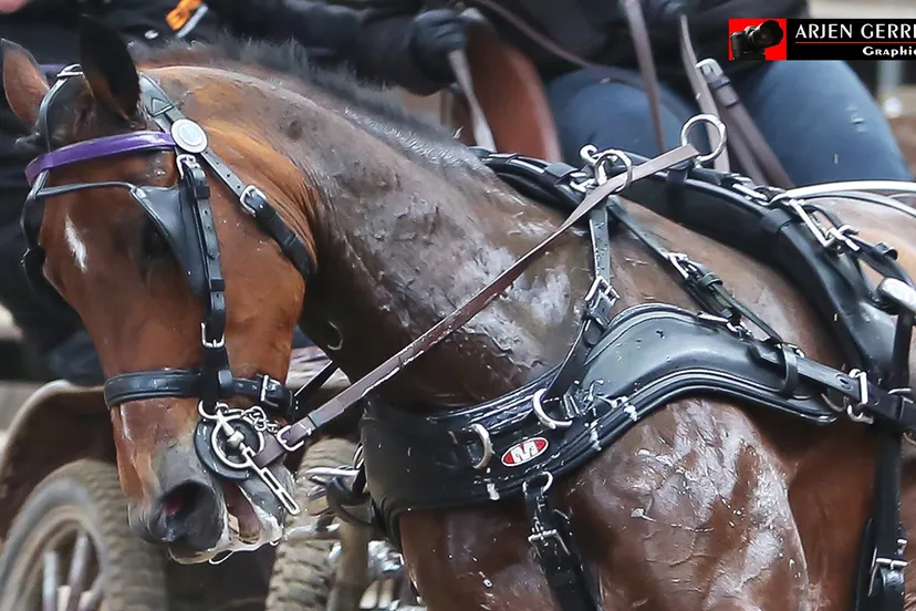 2016 11 05 menindoor nq7a3937