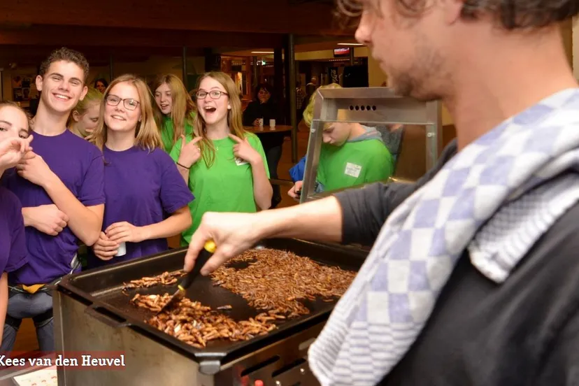 2016 11 16 insecten groenhorst 01