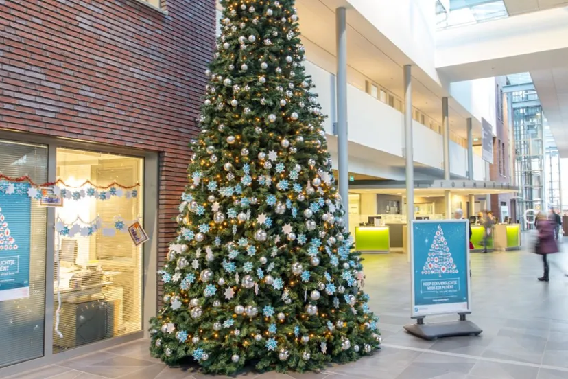 2016 11 23 wensaboom meander1