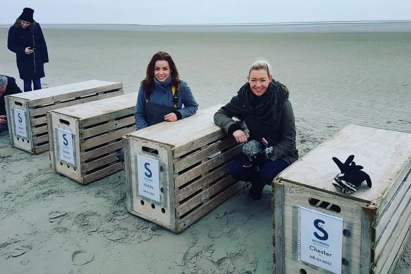 2017 01 10 charity vlog