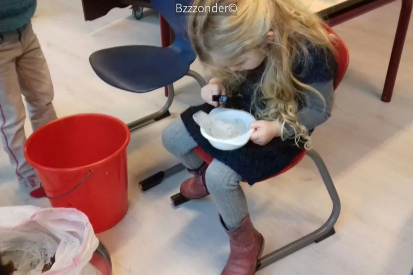 2017 01 24 bzzzonder 2