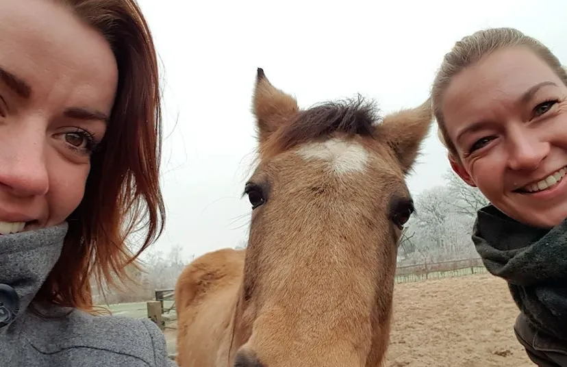 2017 01 25 charity vlog