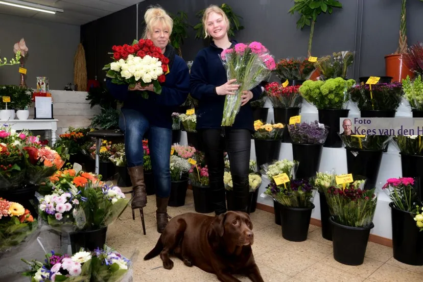 2017 03 09 lansuplant