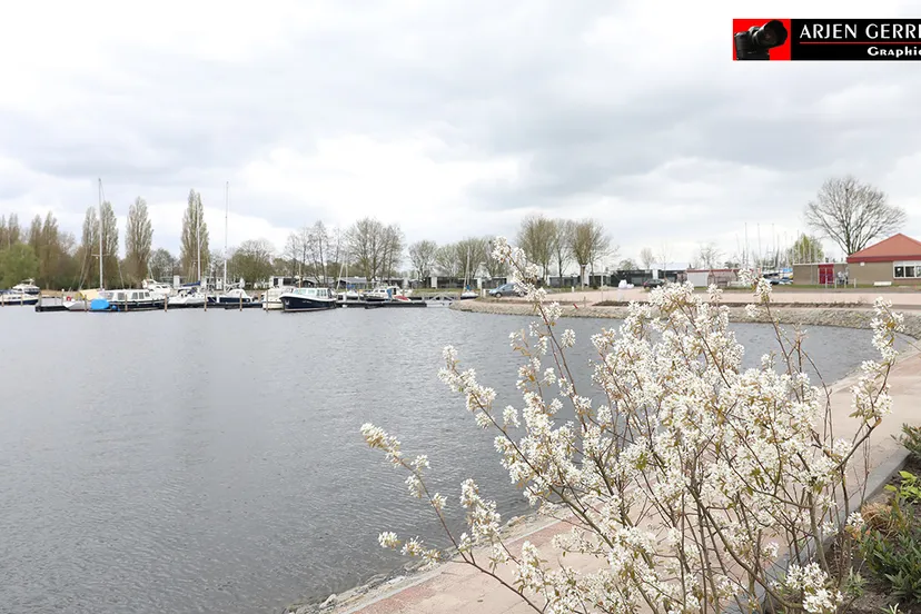 2017 04 05 zuidwal 013